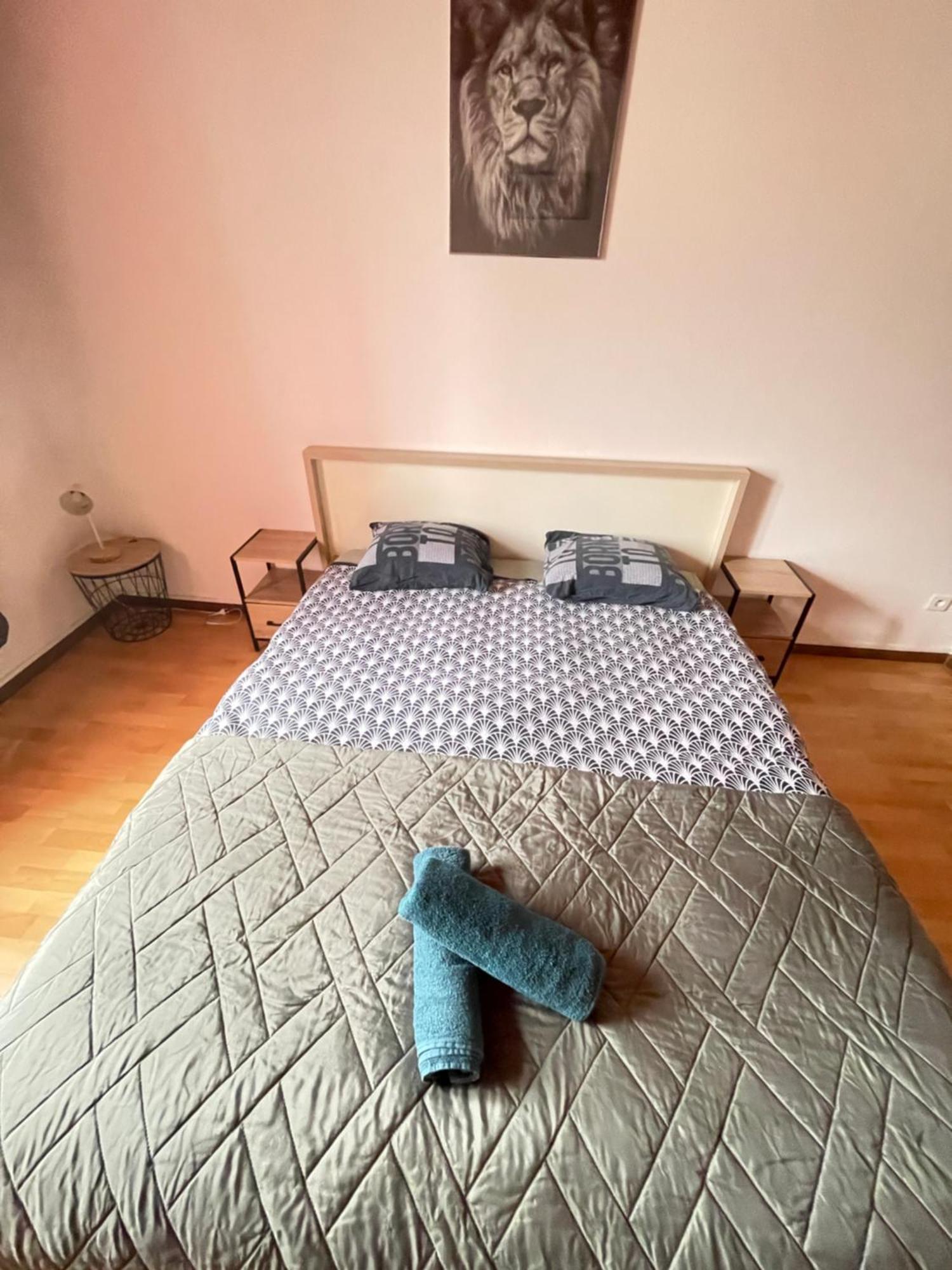 Harmony France & Suisse Apartment